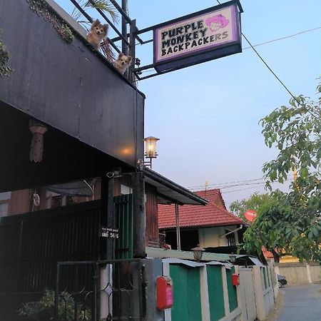 Purple Monkey Backpackers Chiang Mai旅舍 外观 照片